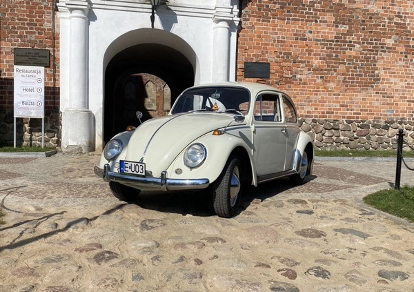 Volkswagen Garbus cena 42000 przebieg: 37500, rok produkcji 1964 z Uniejów małe 254